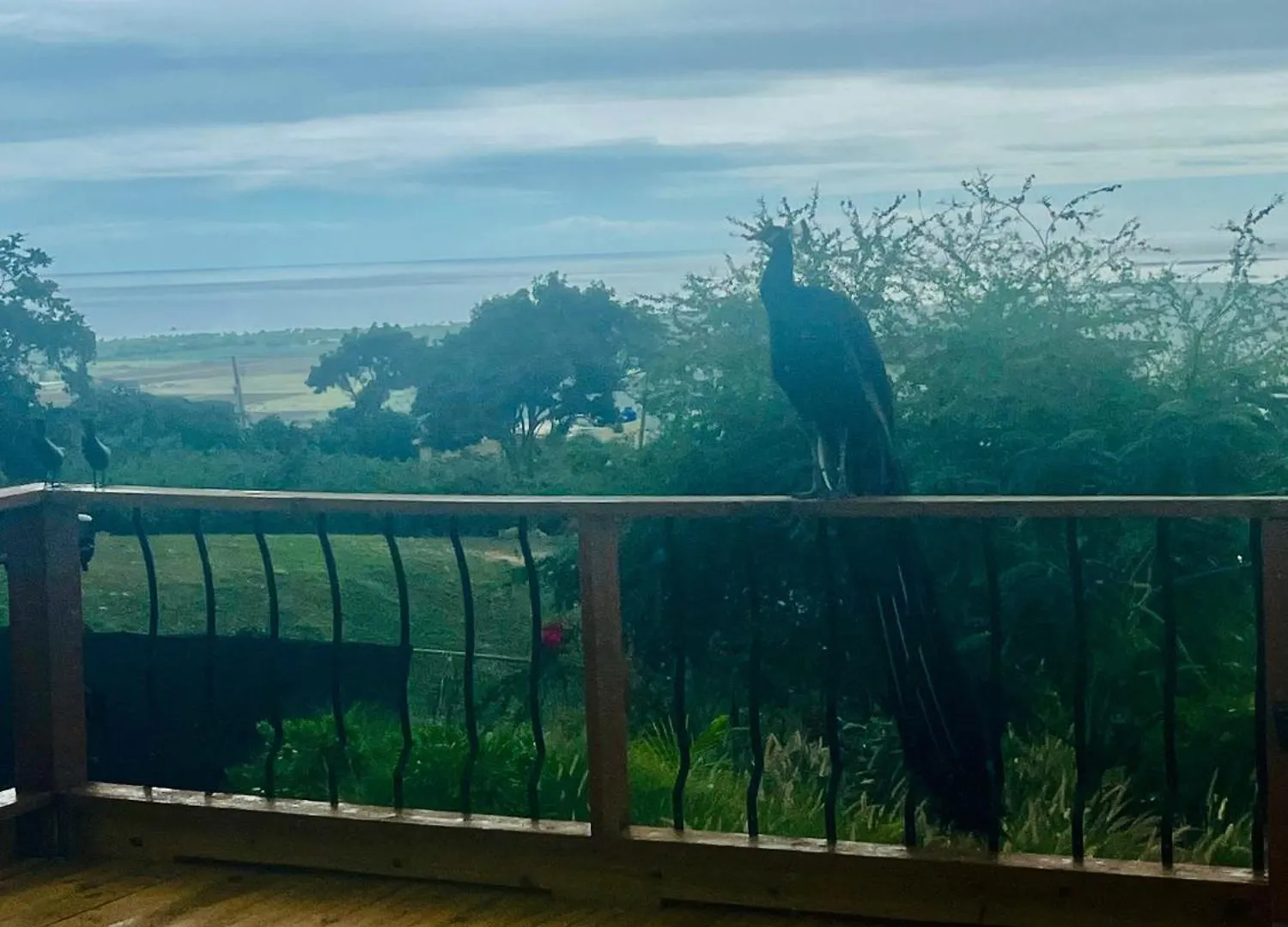 Dom wakacyjny Willa Pampagrass View Santa Isabel
