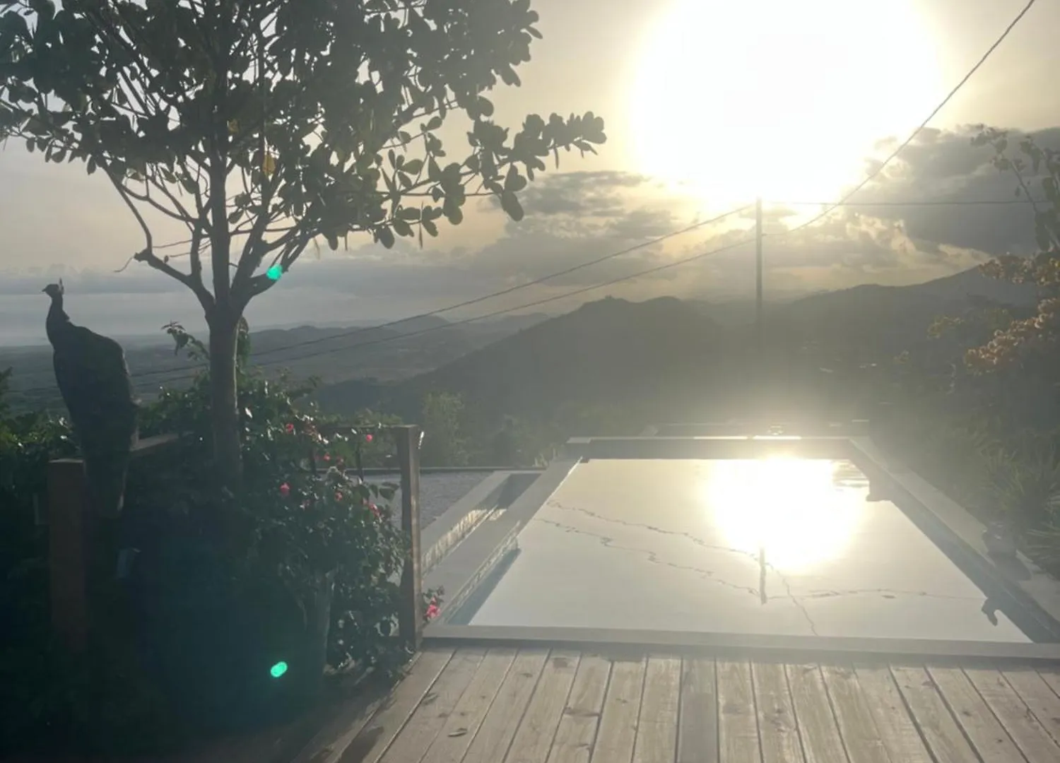 Willa Pampagrass View Santa Isabel